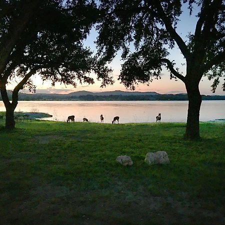 Medina Lake Camping Resort Cabin 3 Lakehills Dış mekan fotoğraf