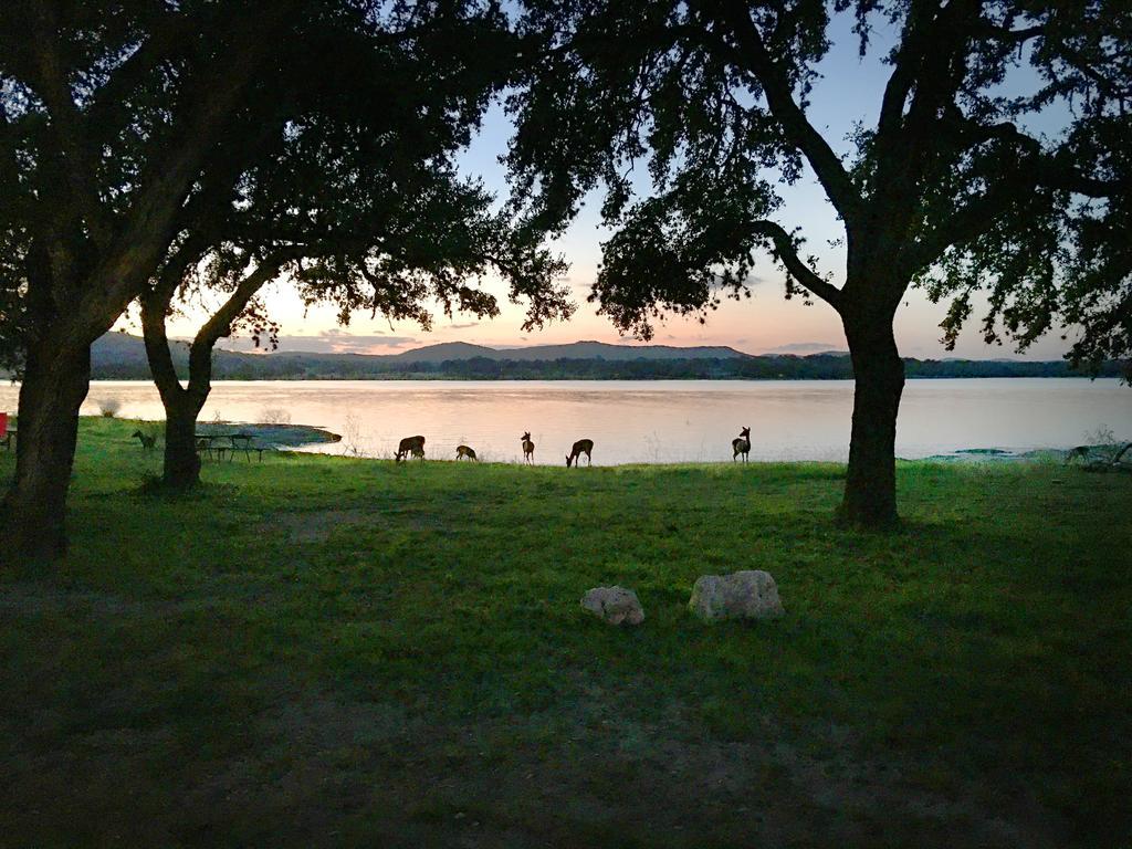 Medina Lake Camping Resort Cabin 3 Lakehills Dış mekan fotoğraf